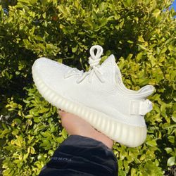 Yeezy 350 Cream Size 5.5 Brand New 