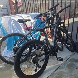 2  bikes combo girl's bike and mountain bike