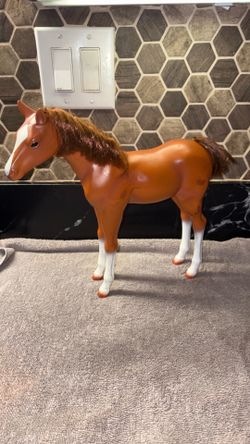 Our. Generation    Horse.   Brown   &.   White.    Foal
