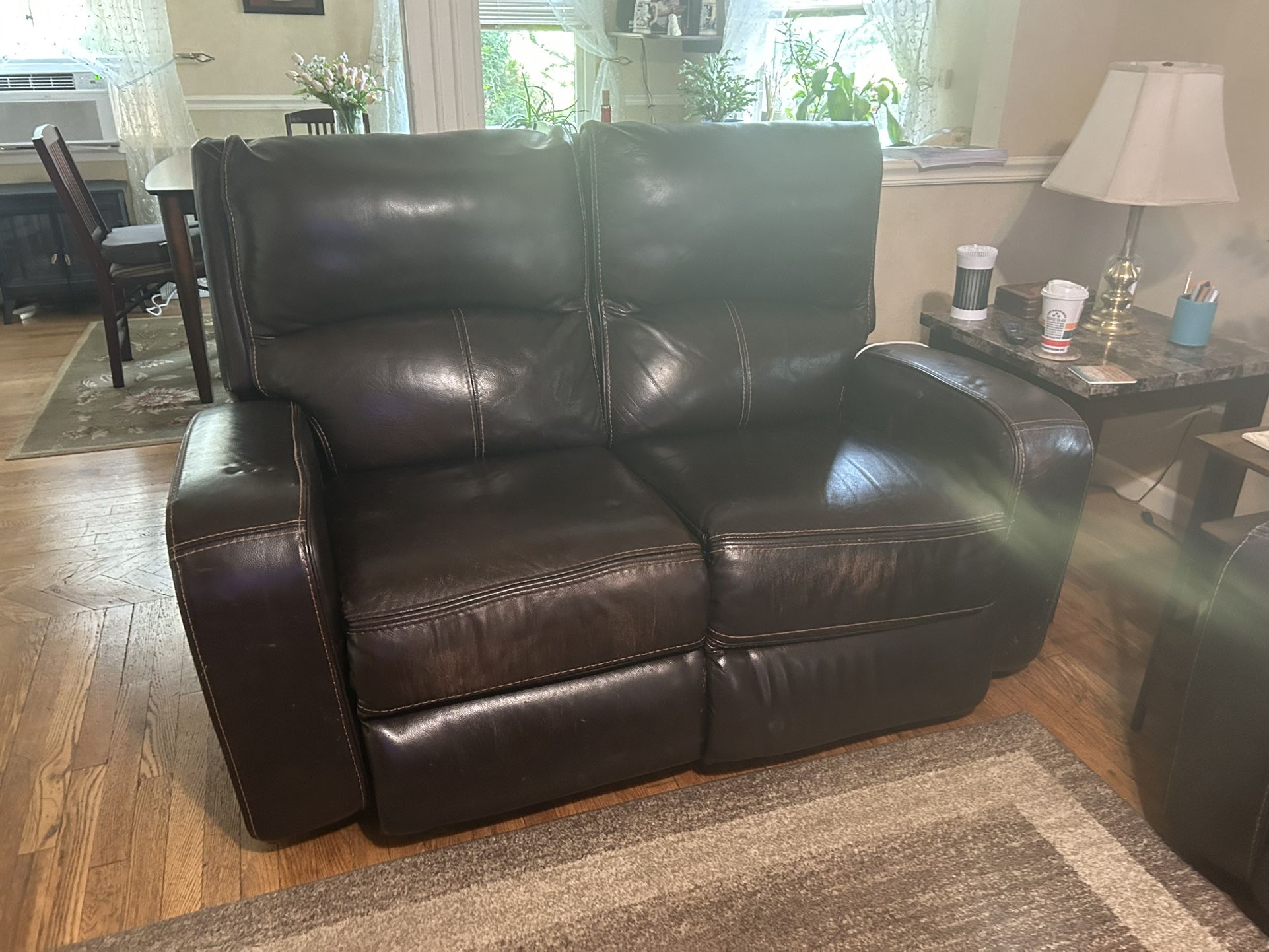Leather Electric Loveseat