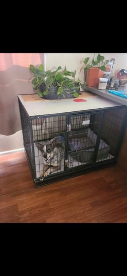 Kennel