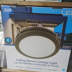 New Feit Electric Ceiling Mount Canopy Light 