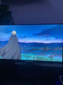 Sceptre moniter