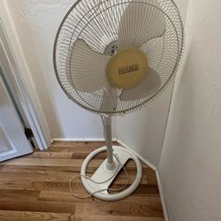 Oscillating  fan 