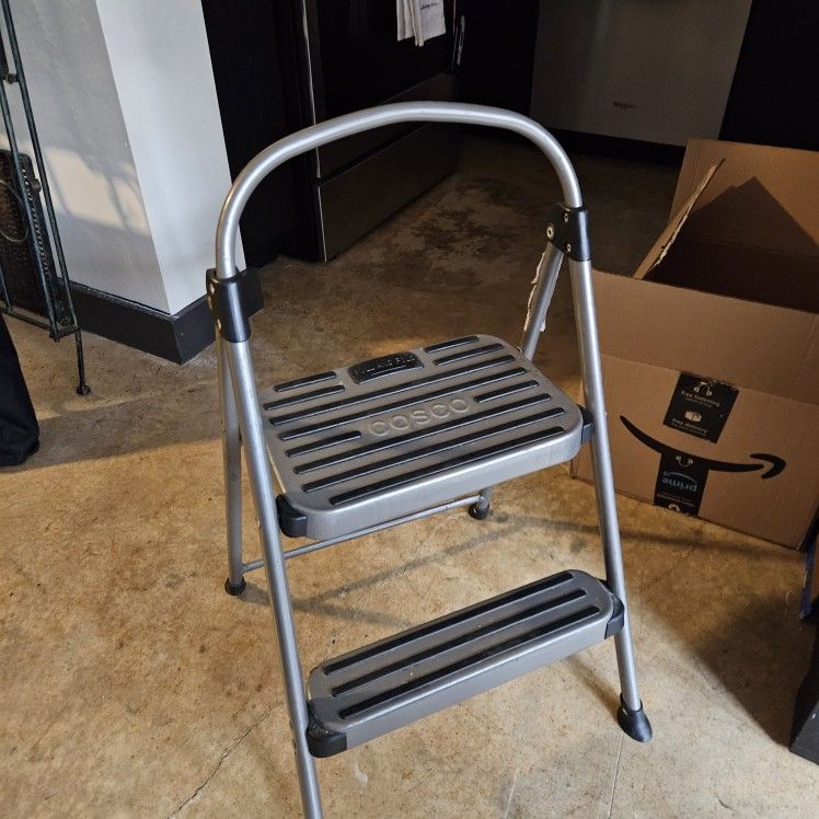 2 Step Ladder