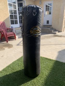 everlast 100 pound punching bag