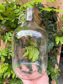1 Gallon glass jug with lid