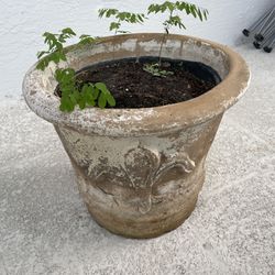 Big Solid Planter Pot With 3 Liz Flowers Design