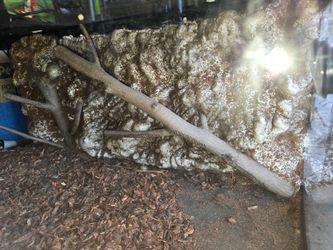 Terrarium for reptiles