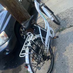 Electric Bike 