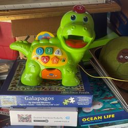 Toddler Pull/Learning Toy