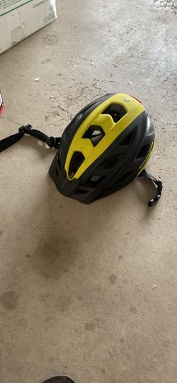 Schwinn bike helmet