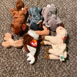 Ty Collectibles
