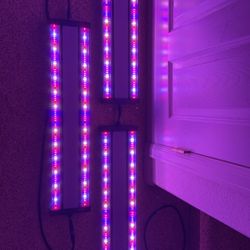 ETi  3 Indoor Grow Lights, 120/250 V, LED Lamp