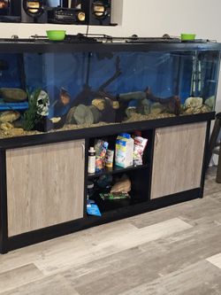 125 Fish Tank 