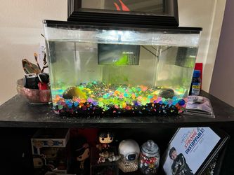Free fish tank