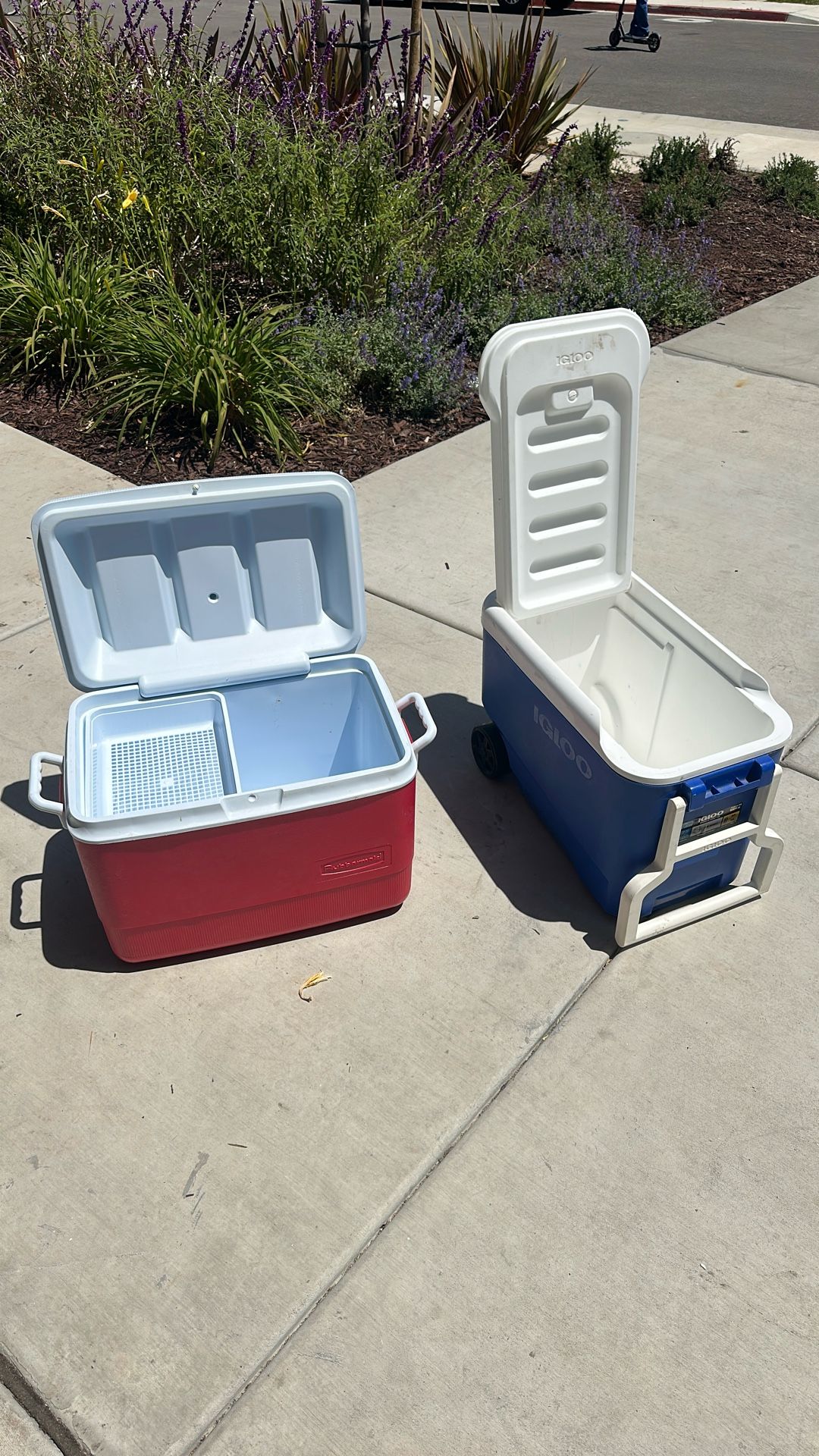 Coolers