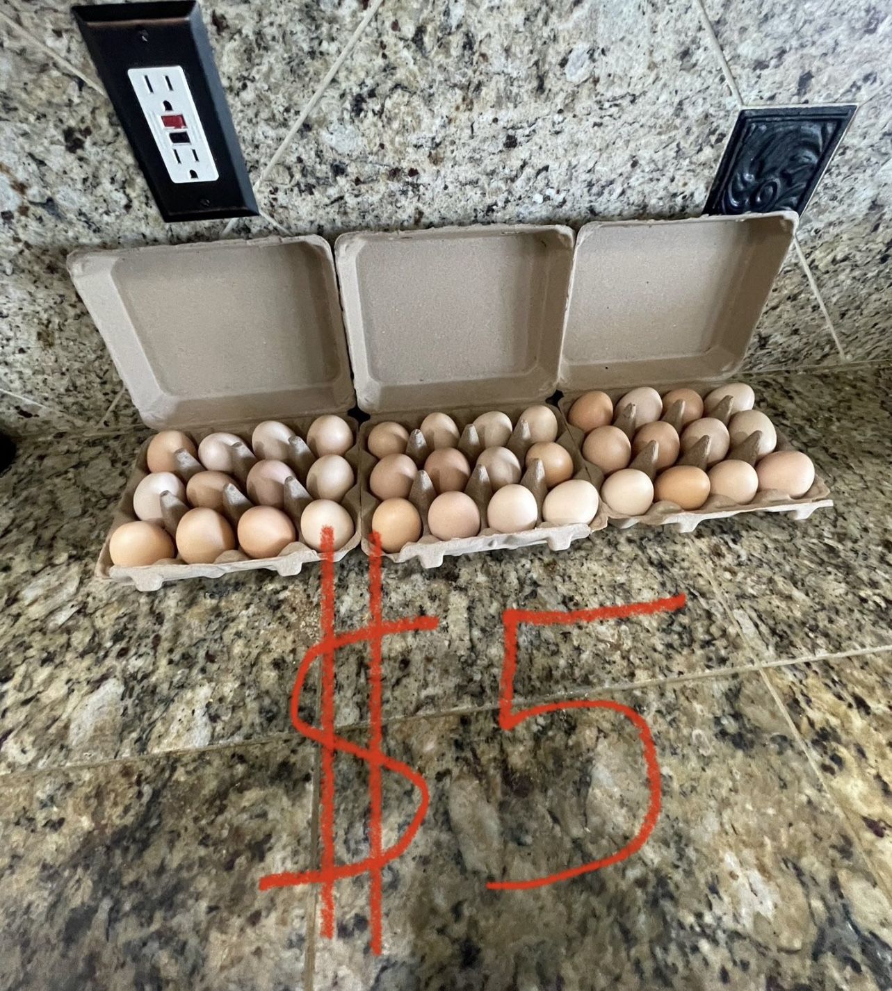 fresh eggs