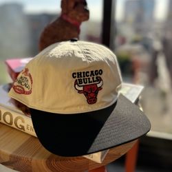 Kith Chicago Bulls