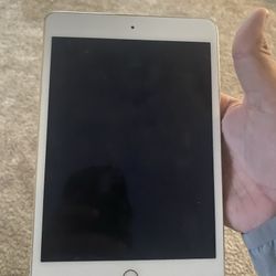 Ipad Mini 3 And Apple Watch Series 3