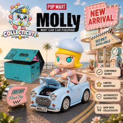 POPMART MOLLY CARCAR SECRET