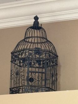 Decorative Metal Birdcage with Scrollwork