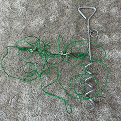 Top Paw® Spiral Stake Dog Tie Out