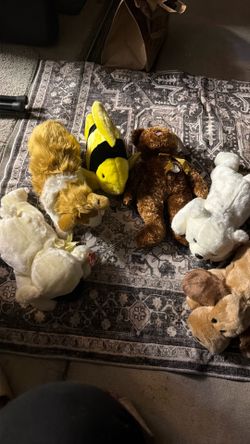 Beanie buddies