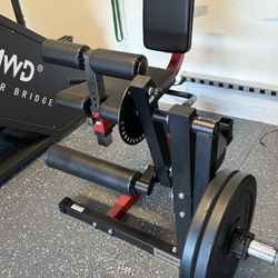 Leg Extensions / Hamstrings/ Abs Gym 