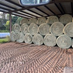 Hay- Bermuda Sumrall 007