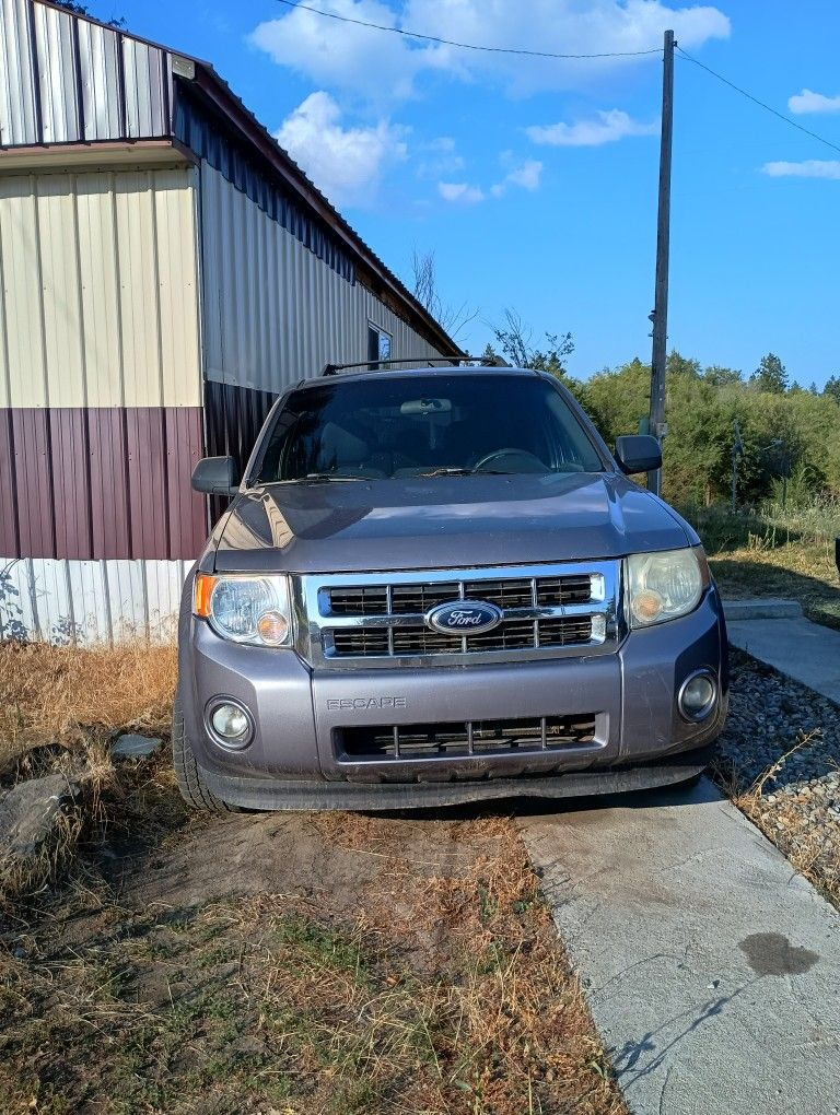 2008 Ford Escape