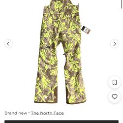 the North Face Snowsuit 