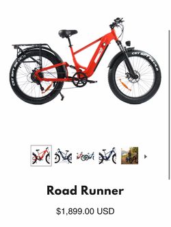 Sakatah Road Runner Electric Bicycle