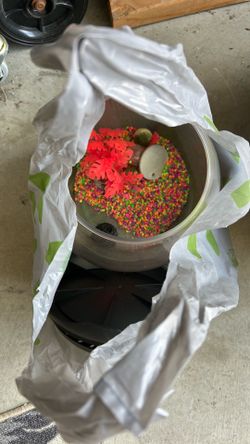 Nice circle beta tank with lid