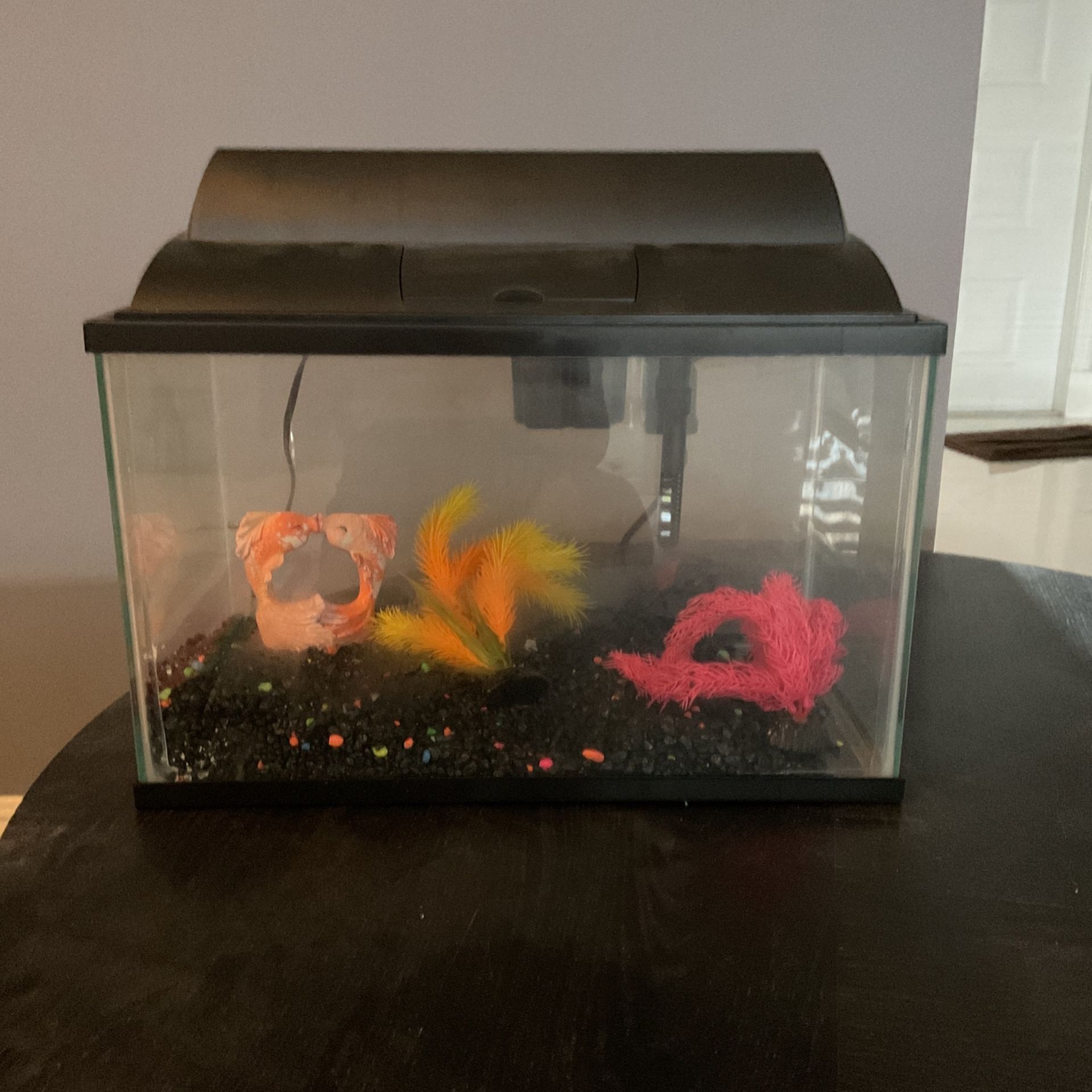 Fish Tanks - Starter Fish Tanks & Aquarium Starter Kits