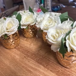 Flower Pots