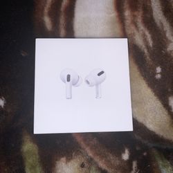 Apple AirPod Pro (Box and Adjustable Earpieces Only)