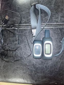 Pet Safe Shock Collar