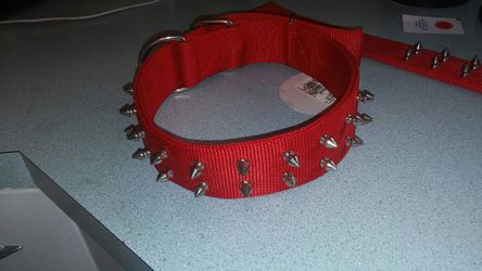 Collar para pitbull