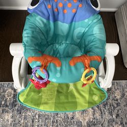 Fisher Price Portable Baby Chair