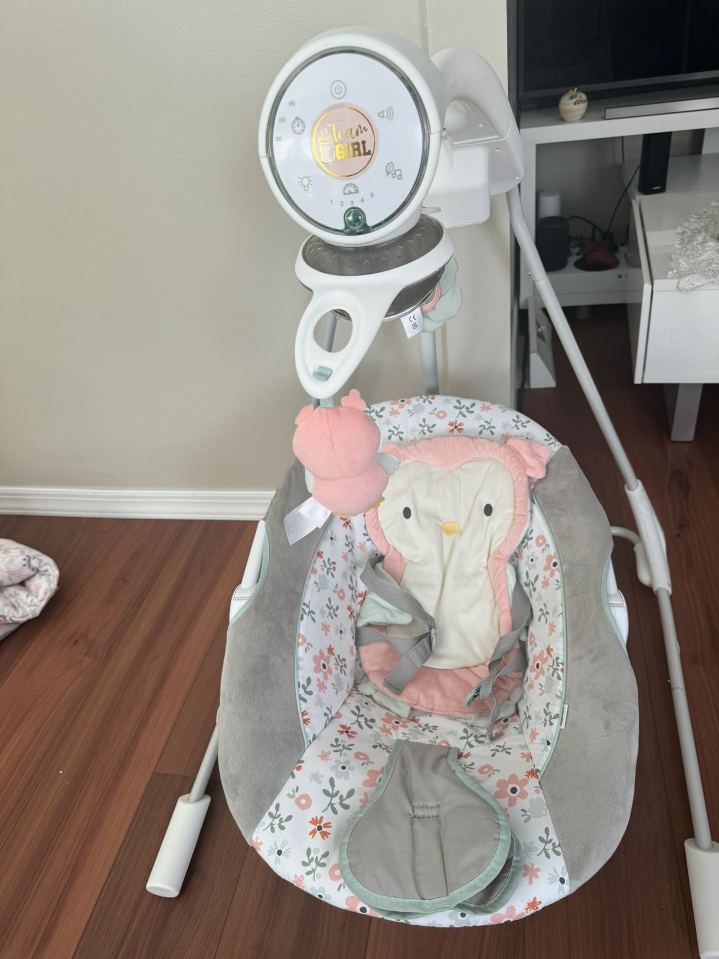 Baby Swing