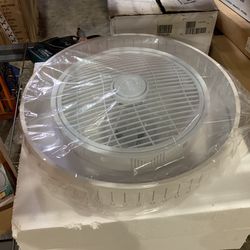 Ceiling light & fan