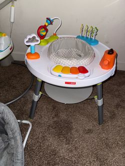 Skip hop activity center