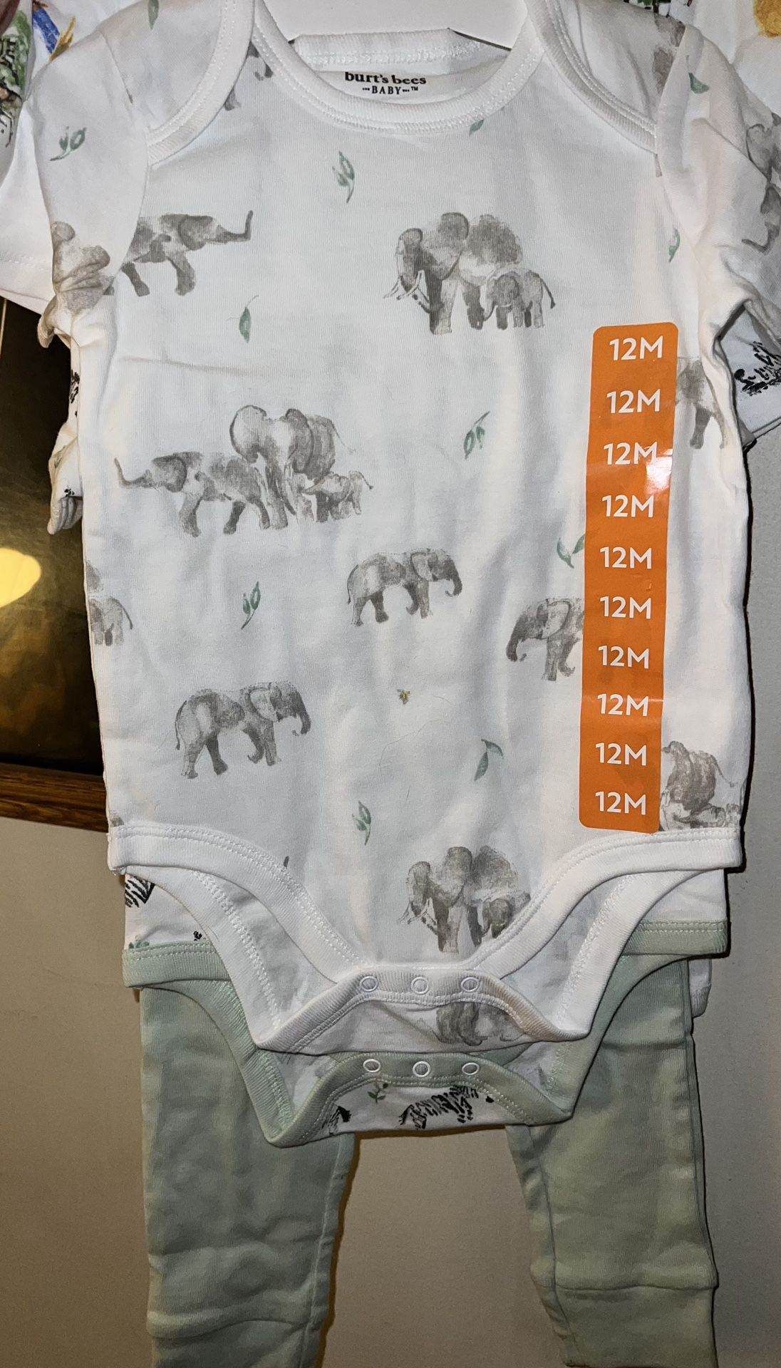 New 3pc Set. 2 Onesies/1 Knit Pant. 12mos Organic Burt’s Bees