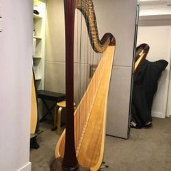 Harp In Pristine Conditions 