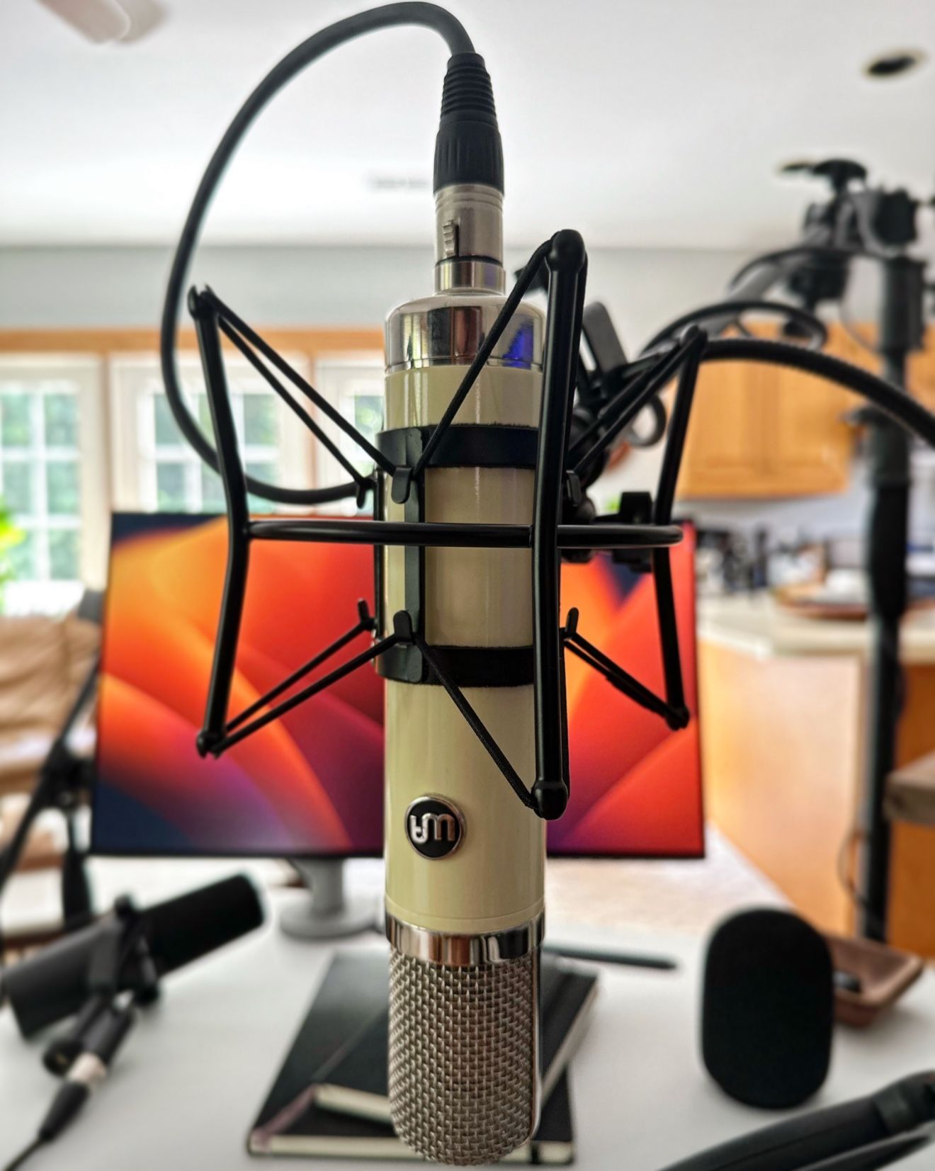 Warm Audio WA-251 Large Diaphragm Multipattern Tube Condenser Microphone