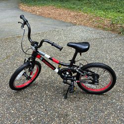 Guardian 16 Inch Bike