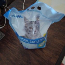 Cat Litter Is cheap purchase!!