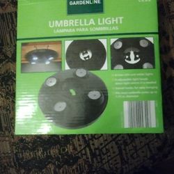 Umbrella Lights.