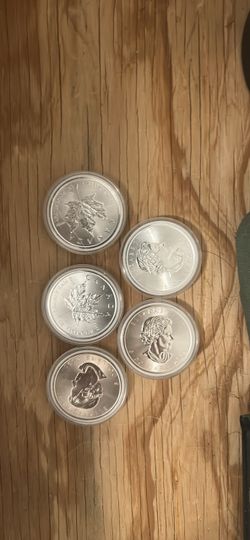 5 Canadian silver maples
